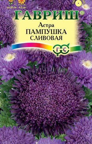 astra-pampushka-slivovaya-gavrish