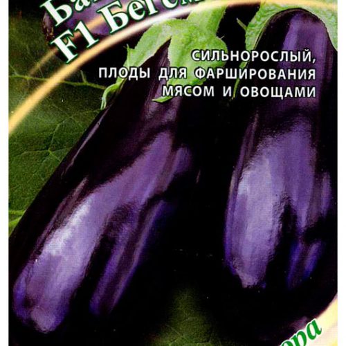 baklazhan-begemot-f1-15sht-gavrish