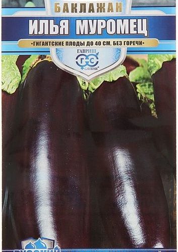 baklazhan-ilya-muromec-gavr