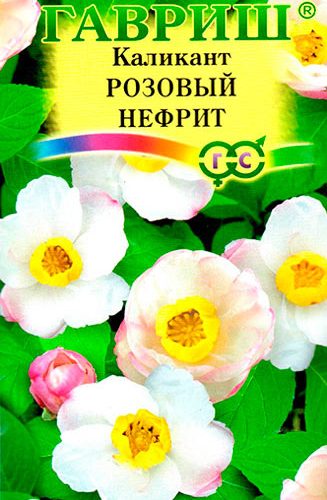 kalikant-rozovyy-nefrit-3sht-gavrish