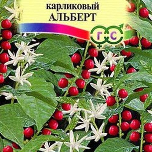 kofe-araviyskiy-albert-gavrish