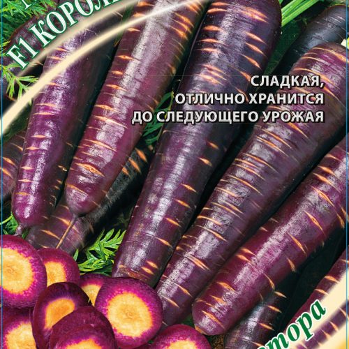 morkov-koroleva-fioletovaya-150sht-gavri