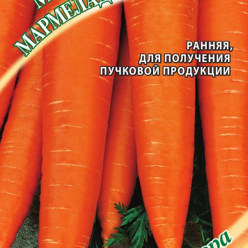 morkov-marmelad-oranzhevyy-f1-ud
