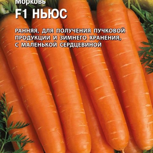 morkov-nyus-f1-ud-golandiya