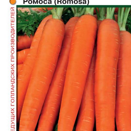 morkov-romosa-gavrish