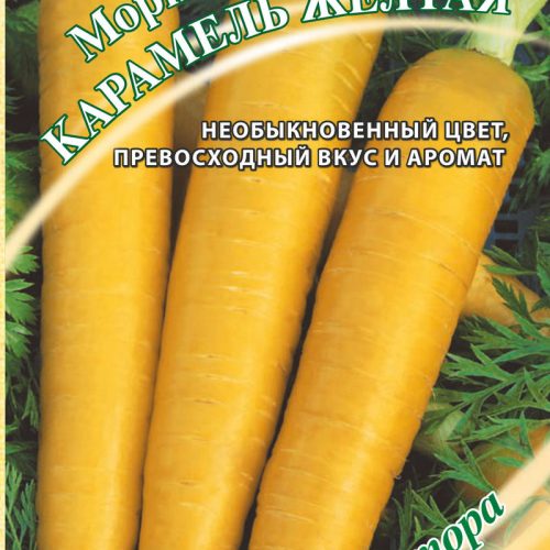 morkov-karamel-zheltaya-2gr-n15-gavrish