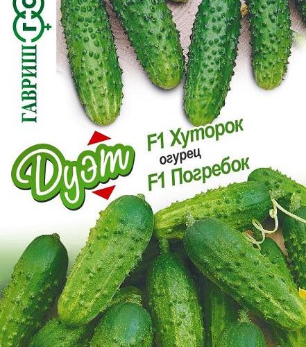 ogurec-pogrebokkhutorok-duyet-gavrish