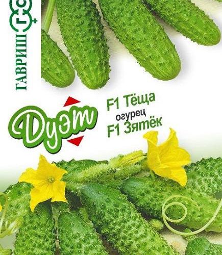 ogurec-zyatekteshha-duyet-gavrish