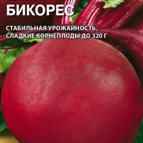 svekla-bikores-10-g-gollandiya