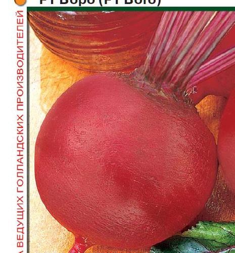 svekla-boro-f1-10-g-gollandiya