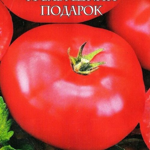 tomat-babushkin-podarok