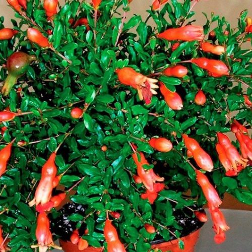 db03bbb17b474f830595b3d7eb3e3413