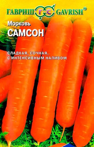 morkov-samson-05g-gavrish