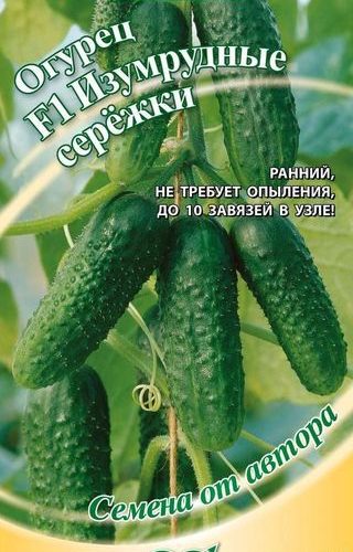 ogurec-izumrudnye-serezhki-f1-gavrish
