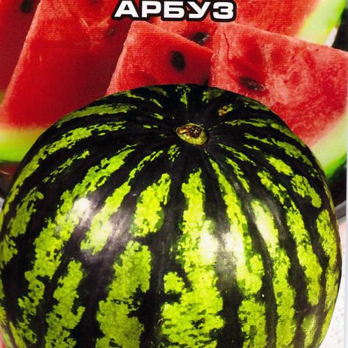 arbuz-sakharnyy-shar-sib-sad