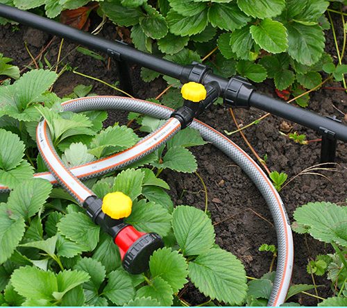 dachnyy-vodoprovodnyy-komplekt-dvk-25-2