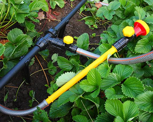 dachnyy-vodoprovodnyy-komplekt-dvk-25-4