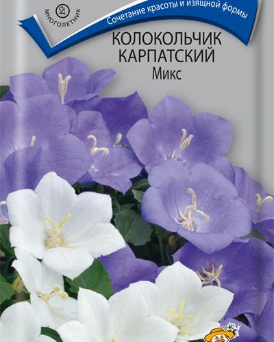 kolokolchik-karpatskiy-miks-cv