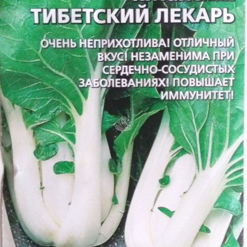 tibetskiy-lekar