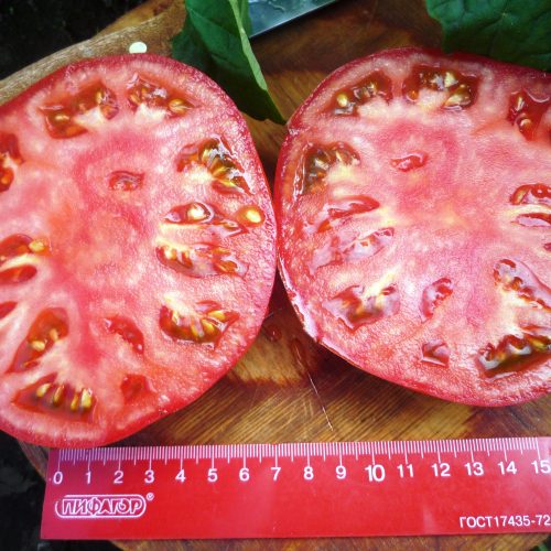 tomat-bolshoy-kyerolcarol-chykos-big-paste-ssha-5sht