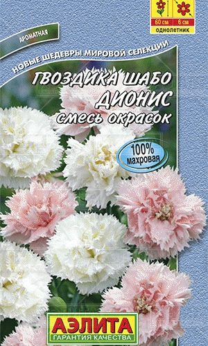 gvozdika-shabo-dionis-smes-01g-ayelita