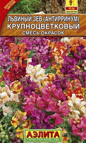 lvinyy-zev-krupnocvetkovyy-smes03g-a