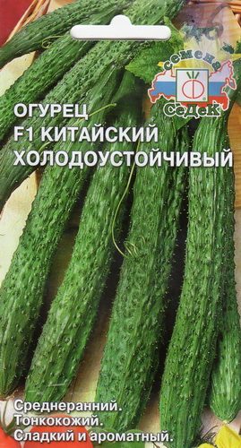 ogurec-kitayskiy-kholodoustoychivyy-f1-02
