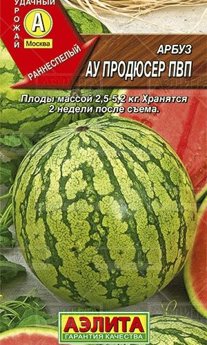 arbuz-au-prodyuser-ayelita