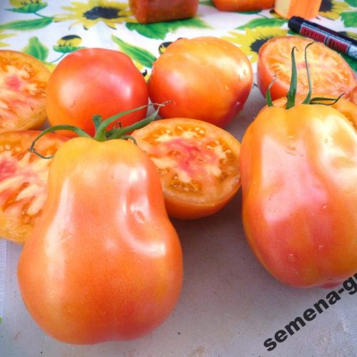 polish-pastel-bi-color2