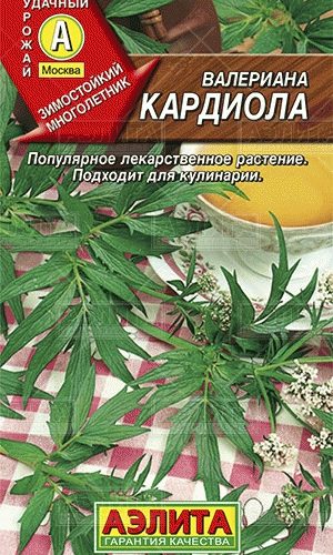 valeriana-kardiola-lekarstvennaya-aye