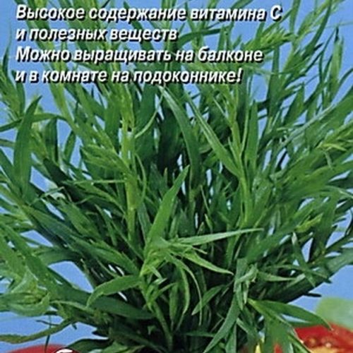 yestragon-korol-trav-01gayelita