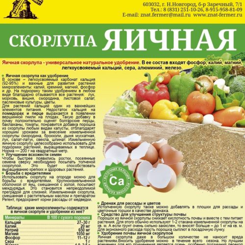 Яичная скорлупа