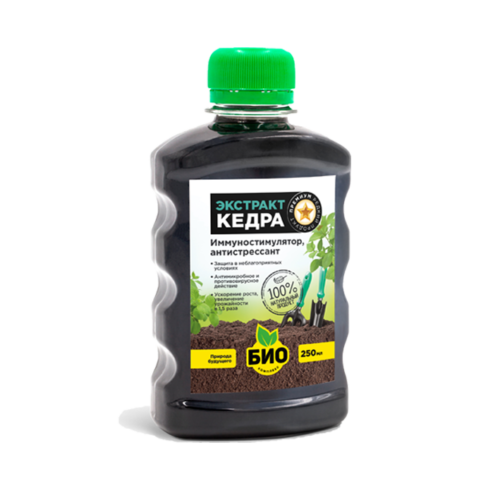 Зкстракт кедра