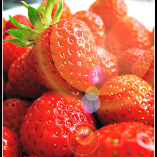 strawberries_MkDnZ0wd