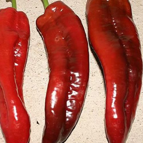Перец сладкий Итальянский (Dulce Italiano)