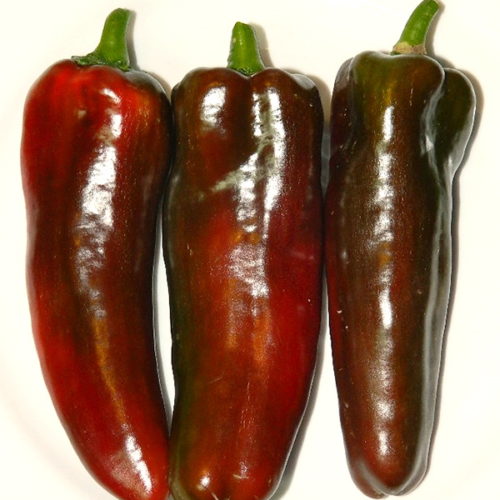 Перец сладкий Носера красный (Nocera Rosso)