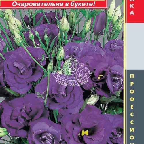 Эустома F1 махровая (серия Magic) Темно-синяя Агроника 10шт