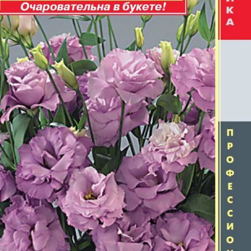 Эустома Лилак махровая 10шт Агроника
