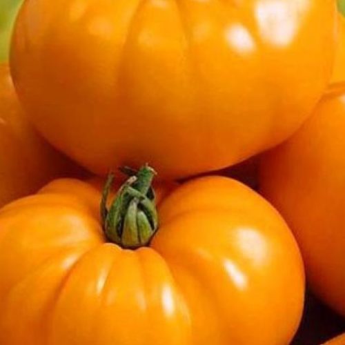 гигант иерусалима