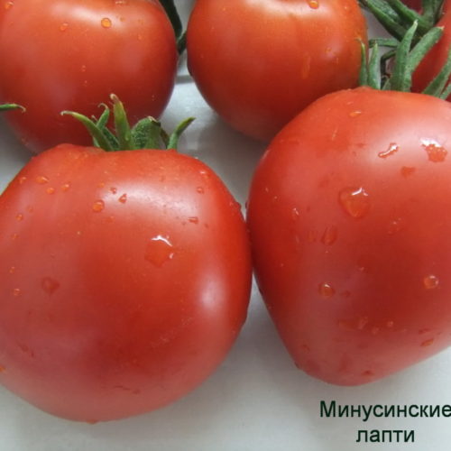 минусинские-лапти-9-1024x768