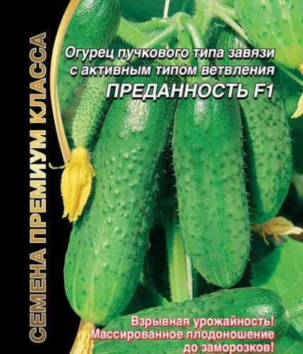 преданность