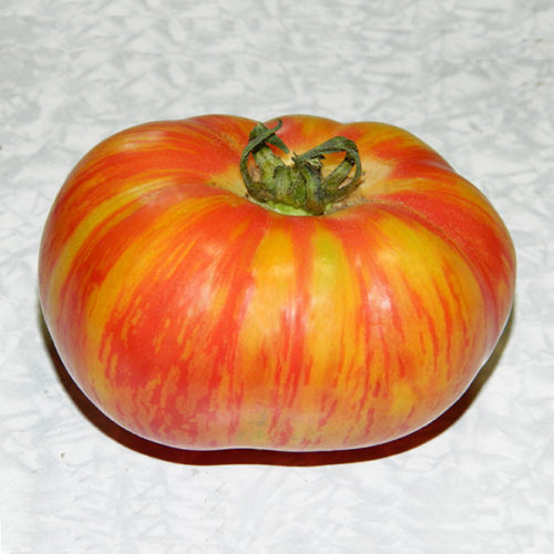 Король красоты (Beauty King)