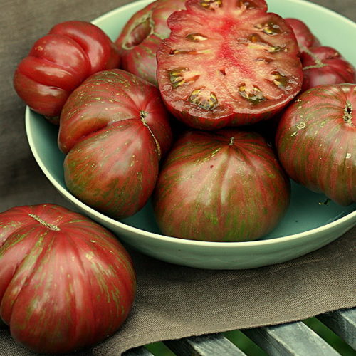 Томат Беркли Тай Дай Розовый (Berkeley Tie Dye Pink)