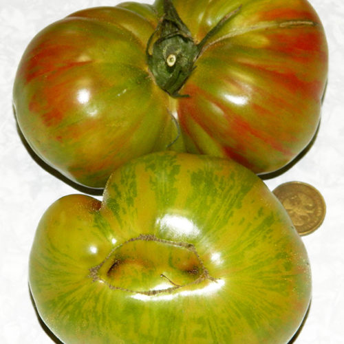 Томат Хипповая зебра (Hippie Zebra)