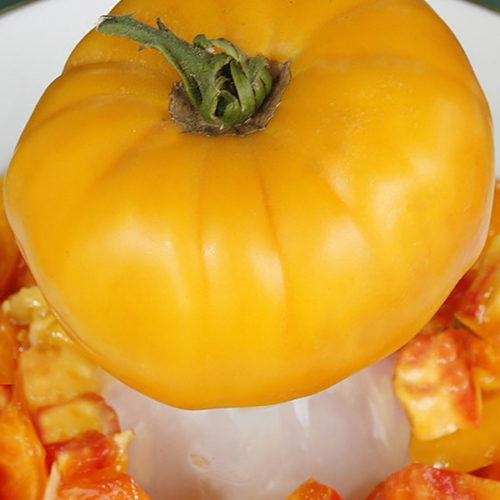 Томат Мамонт немецкий золотой (Mammoth German Gold)