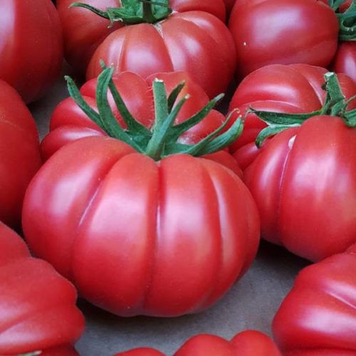 Монте Роза ( Monterosa) 3