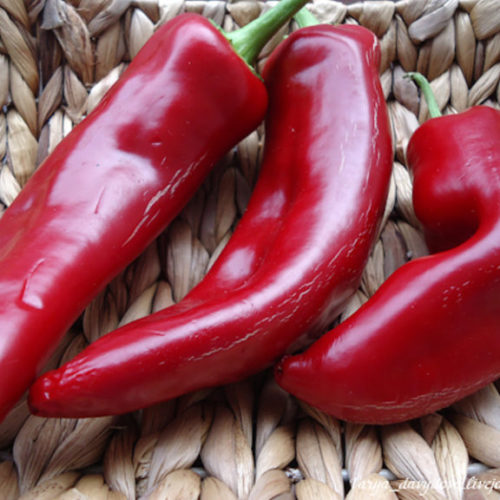 kapiia458749-768x576