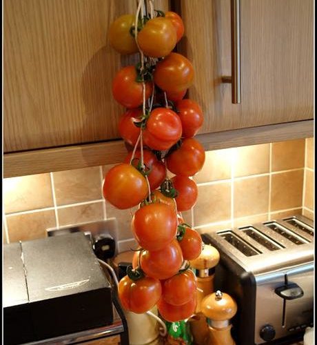 колгар гал 1