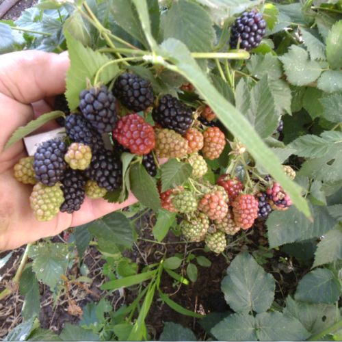 375179906_w640_h640_qip_shot_screen_043