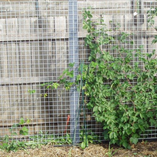 3a620f23c3c0d5e0a5a0c3a30e04d36a